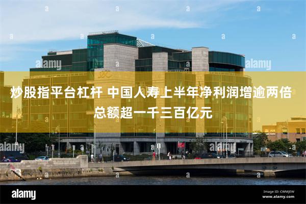 炒股指平台杠杆 中国人寿上半年净利润增逾两倍 总额超一千三百亿元