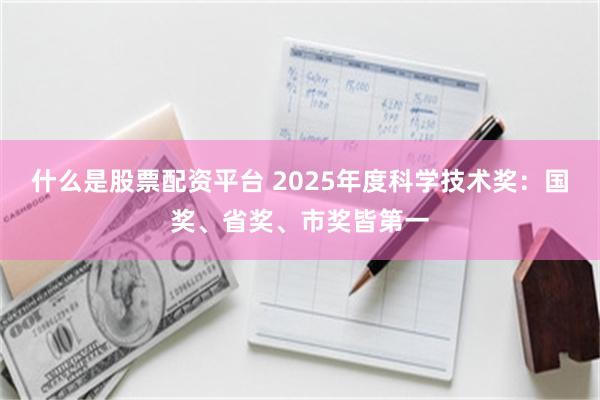 什么是股票配资平台 2025年度科学技术奖：国奖、省奖、市奖皆第一