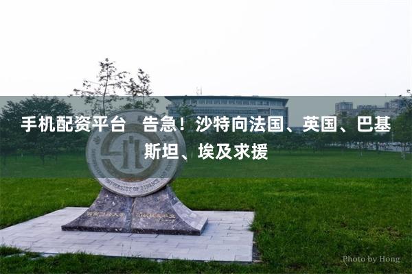 手机配资平台   告急！沙特向法国、英国、巴基斯坦、埃及求援