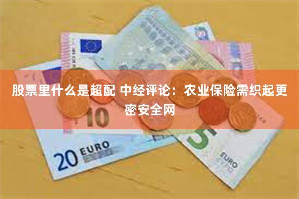 股票里什么是超配 中经评论：农业保险需织起更密安全网