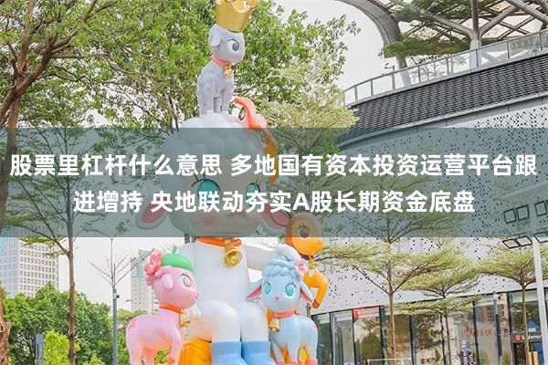 股票里杠杆什么意思 多地国有资本投资运营平台跟进增持 央地联动夯实A股长期资金底盘