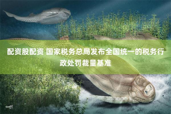 配资股配资 国家税务总局发布全国统一的税务行政处罚裁量基准